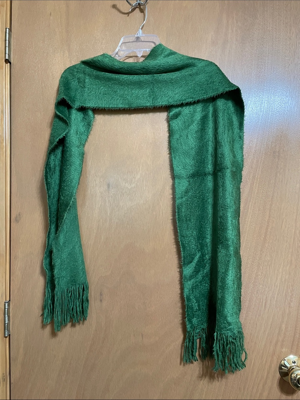 GAP Emerald Green Fringe Scarf